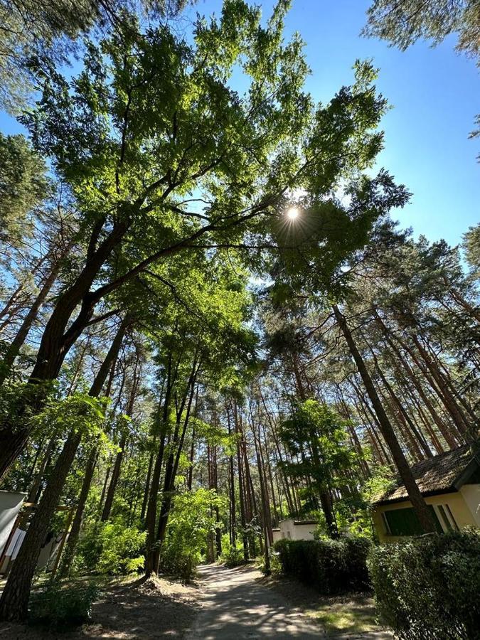 Summer House Любневице Екстериор снимка