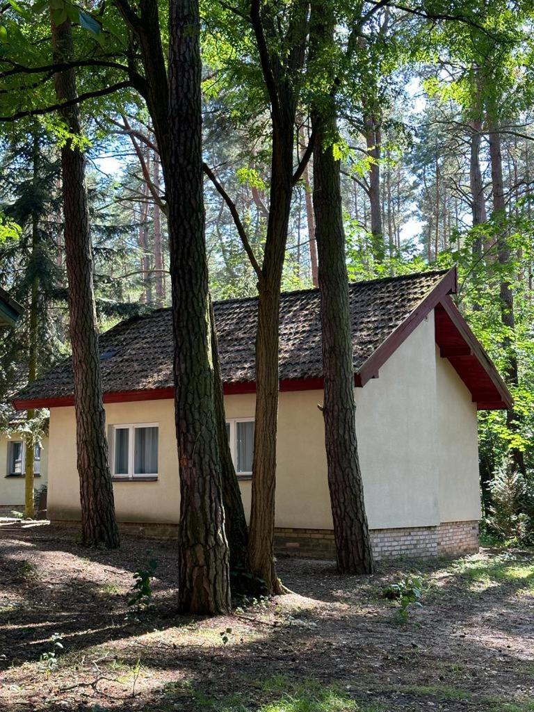 Summer House Любневице Екстериор снимка